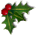 Holly
